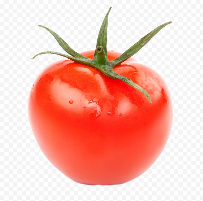 Bush Tomato - Cucumber Vegetable Fruit Eggplant - Tomatoes Free PNG