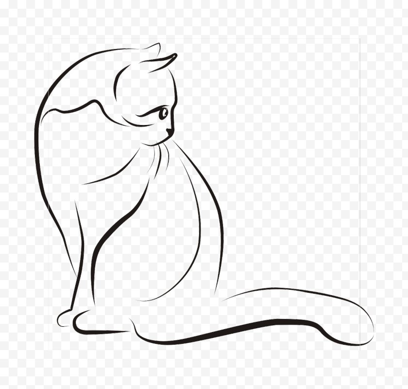 Artwork - Whiskers Cat Silhouette Drawing Clip Art - Line Free PNG