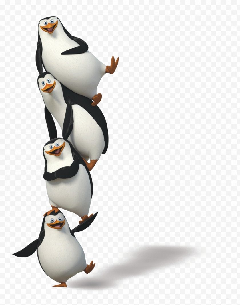 Penguin - Madagascar Clip Art - Tom Mcgrath - Penguins Image Free PNG