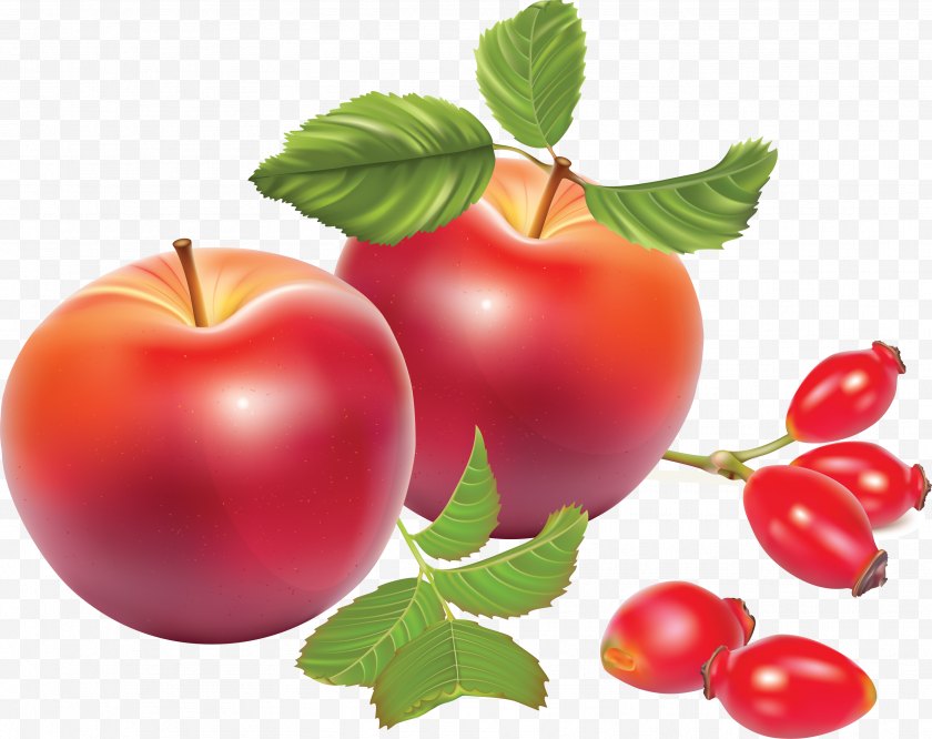Bush Tomato - Tea Rose Hip Dog-rose Illustration - Lingonberry - 3D Image Painted Food,apple Free PNG