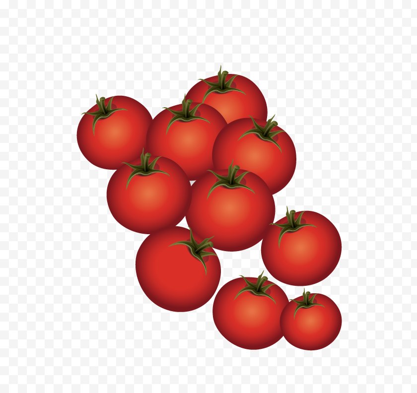 Bush Tomato - Plum - Diet Food - Ripe Tomatoes Free PNG