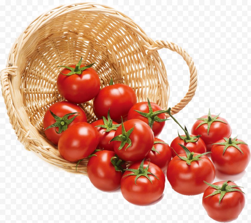 Bush Tomato - Juice Cherry Organic Food Vegetable - Diet Free PNG