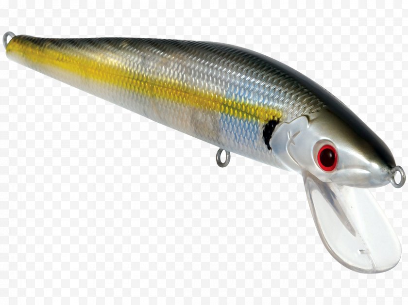 Fishing Lure - Plug Baits & Lures Bass - Bait Fish Free PNG
