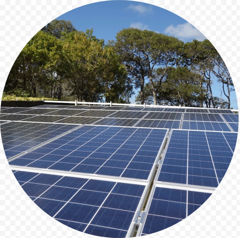 Latin America - Caribbean Solar Power Energy Panels - Plant Circle Free PNG