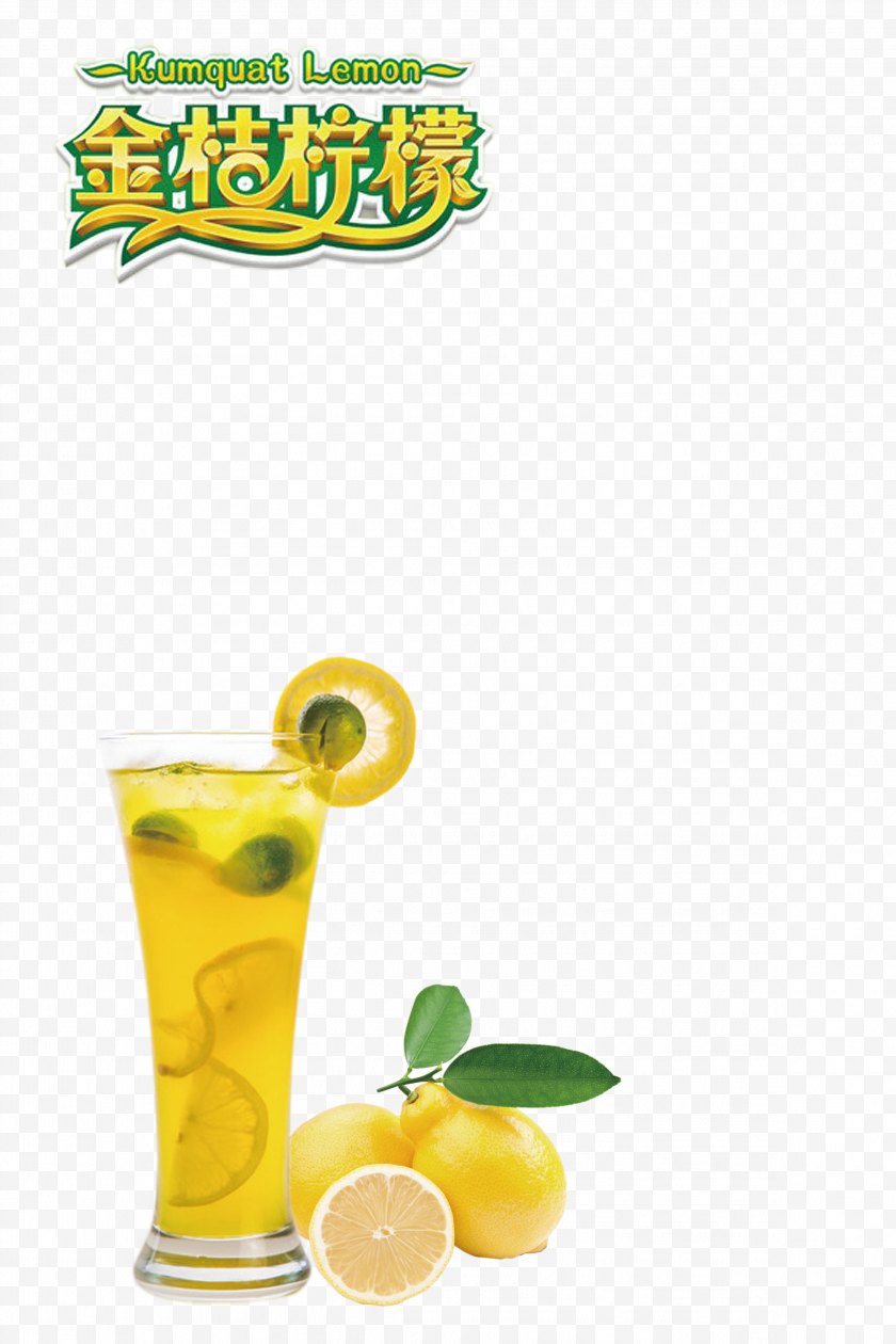 Lemon - Juice Tea Drink - Kumquat Free PNG