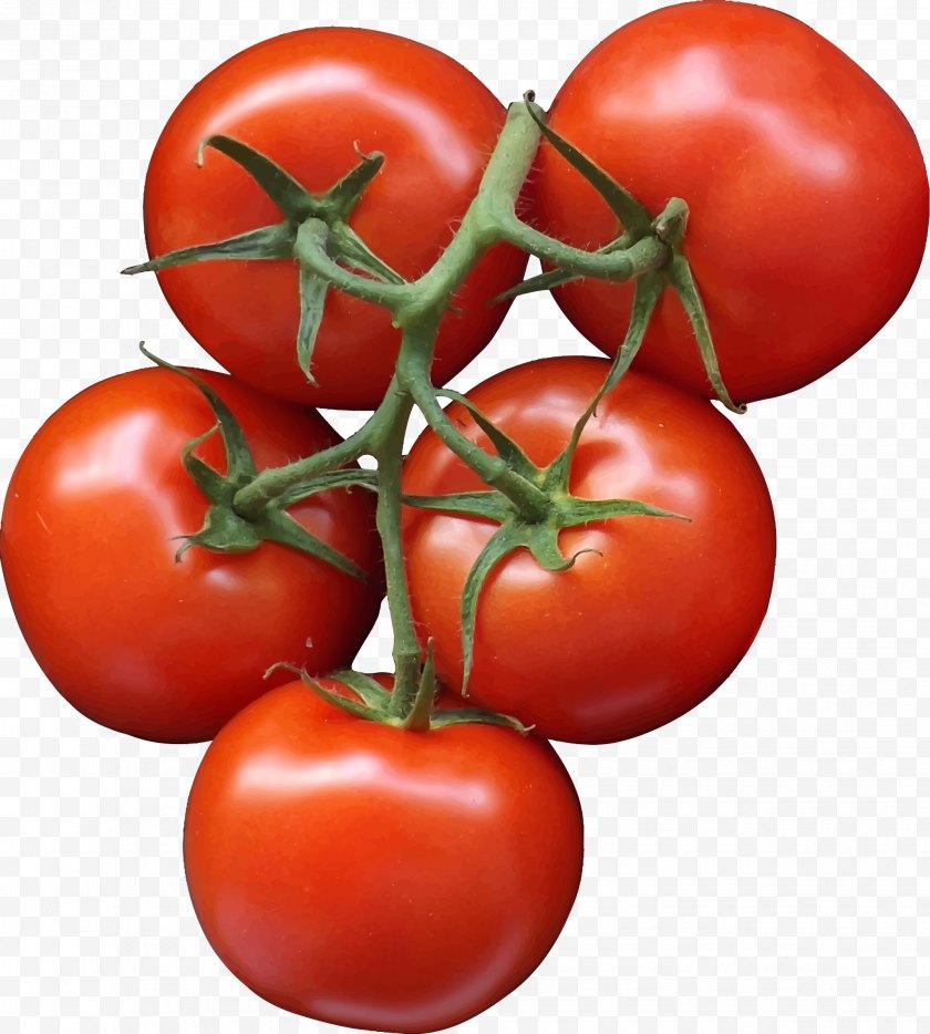 Bush Tomato - Pizza Vegetable Salad Free PNG
