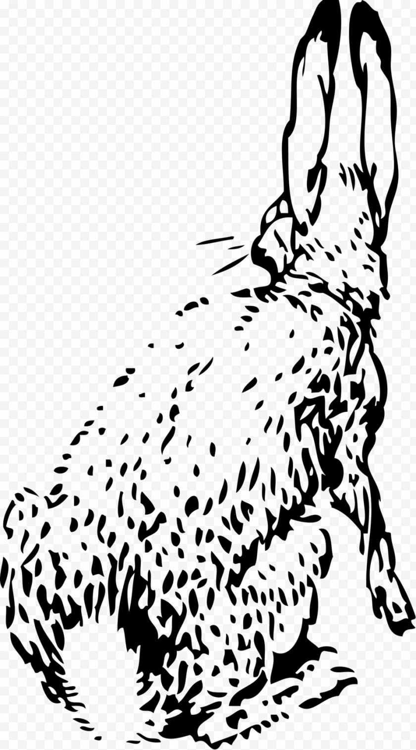 Holland Lop - European Hare White Rabbit Clip Art - Easter Bunny - Ears Free PNG