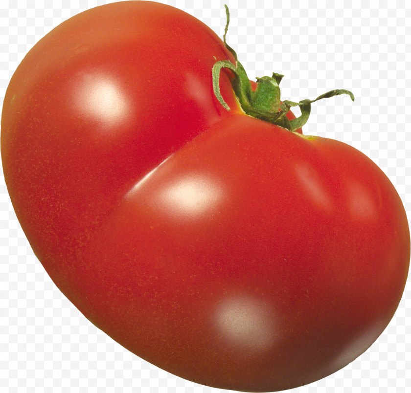 Bush Tomato - Mount Bosavi Vegetable Food - Nightshade Family Free PNG