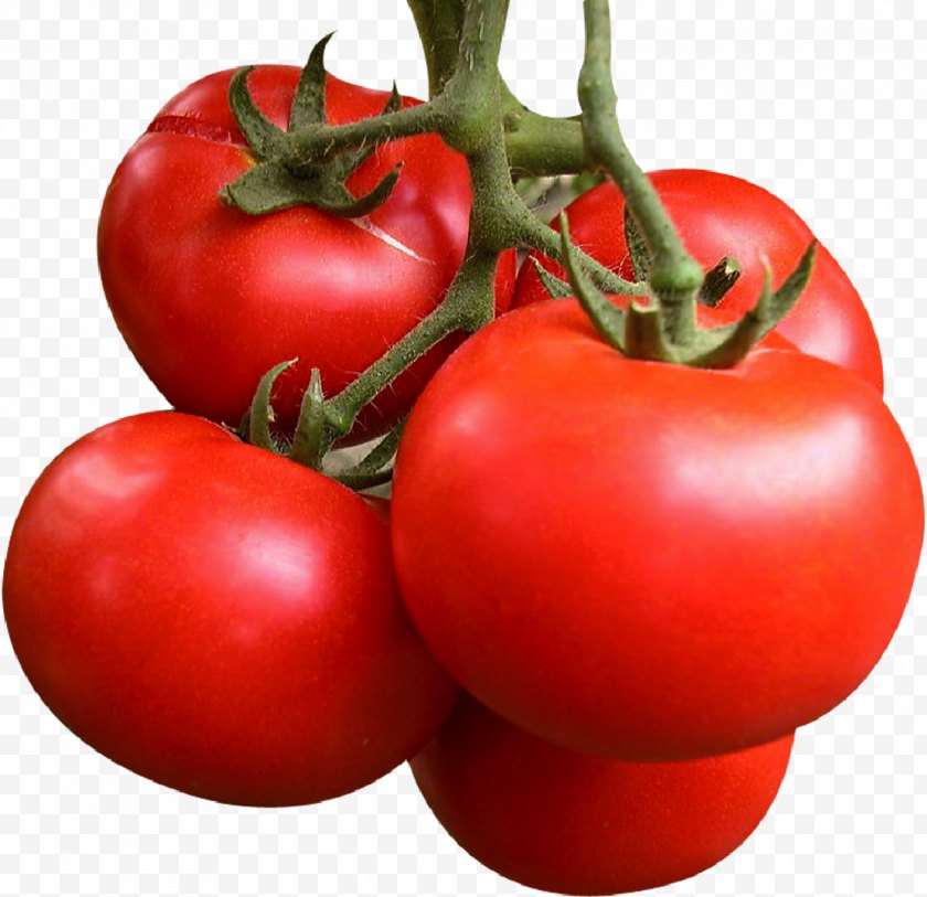 Bush Tomato - Organic Food Bhurta Baingan Bharta Seed - Vector Free PNG