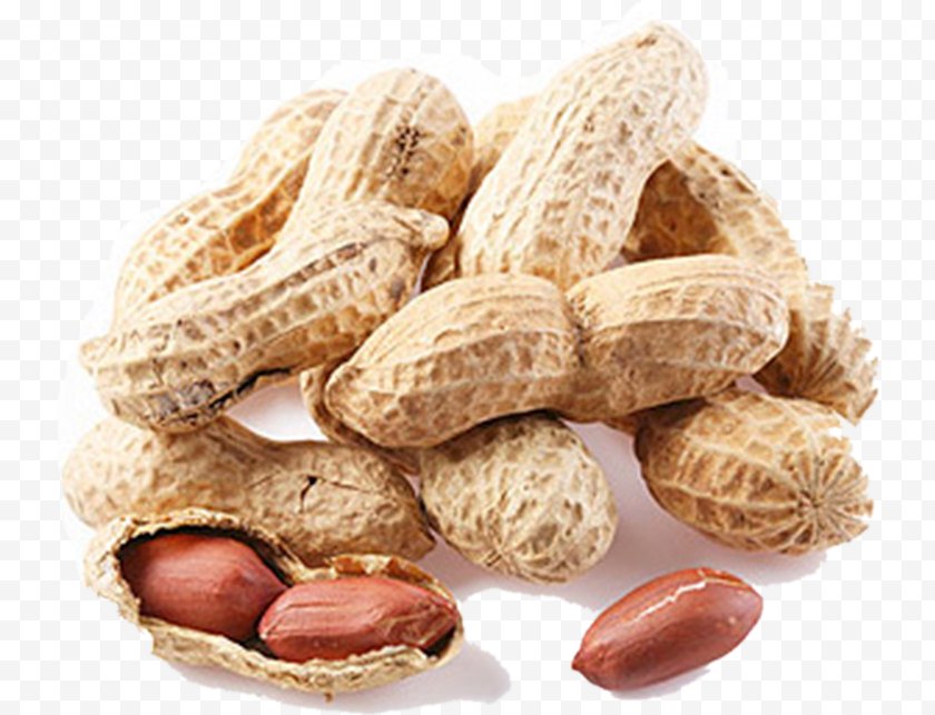 Nut - Nuts Peanut Almond English Walnut - Seeds Free PNG