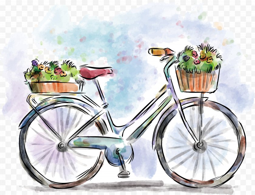 Poster - Bicycle Watercolor Painting Drawing - Wheel - Bike Free PNG