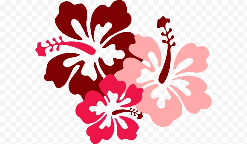 Drawing Black And White Cuisine Of Hawaii Hawaiian Flower Clip Art Floral Design Free Png