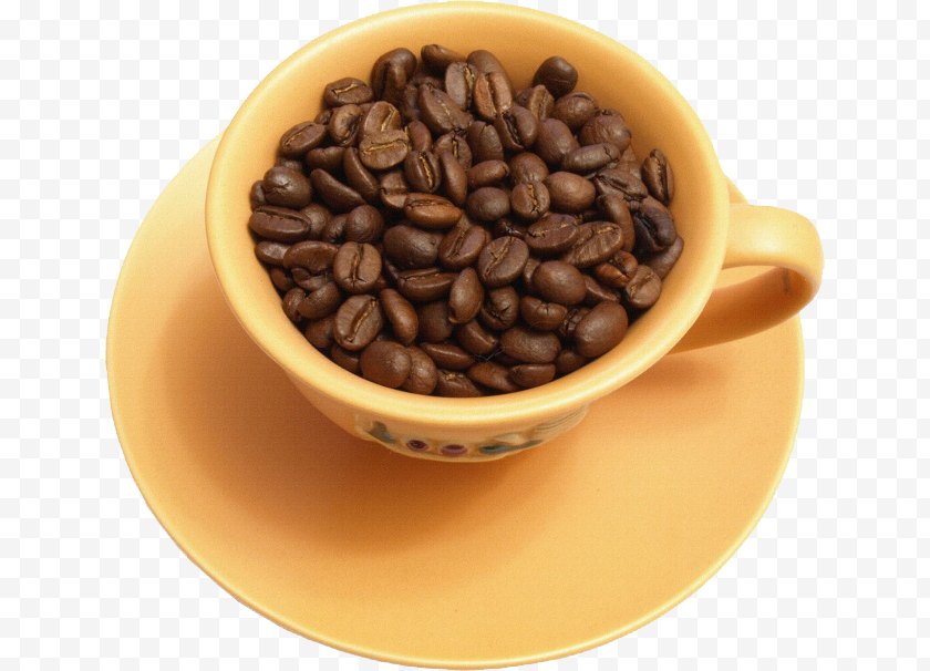 Coffee - Bean Tea Cup - Jamaican Blue Mountain - Of Beans Free PNG