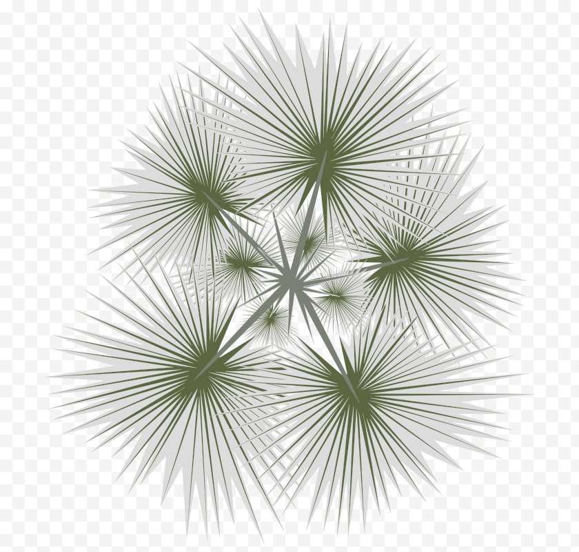 Symmetry - Arecaceae Clip Art - Tree Top View Free PNG