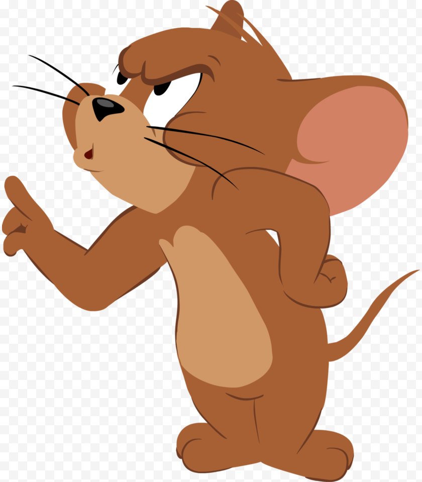 Tom Cat Jerry Mouse And Cartoon Organism Free Png