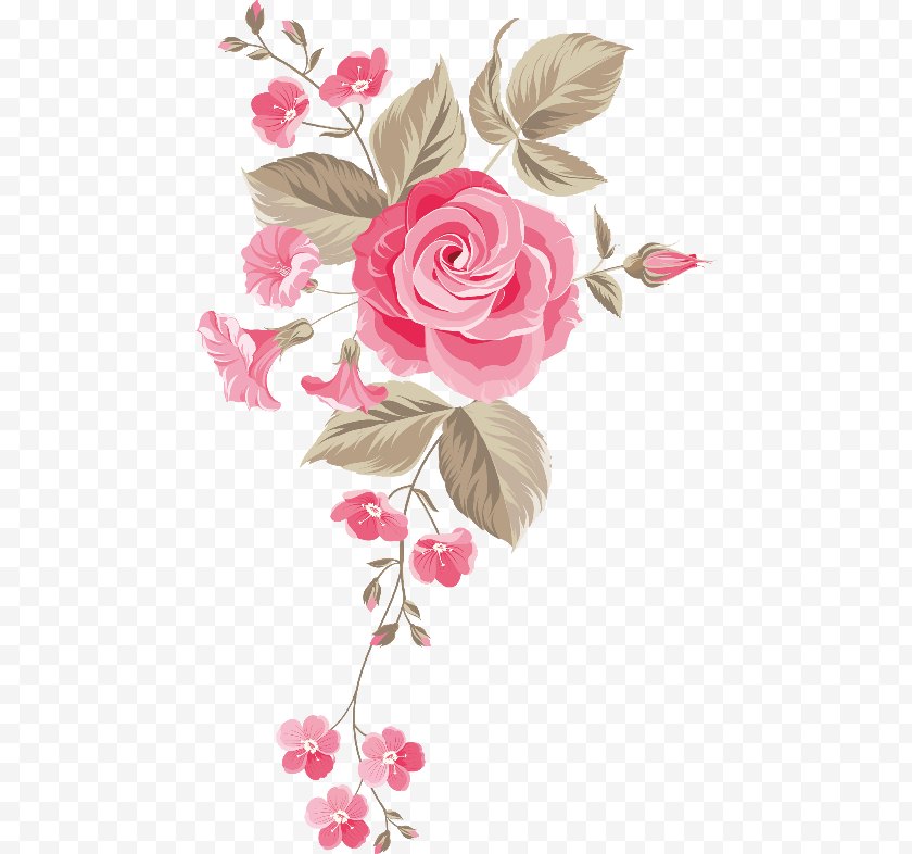 Rose Order - Flower Floral Design Watercolor Painting Vector Graphics - Flowering Plant Free PNG