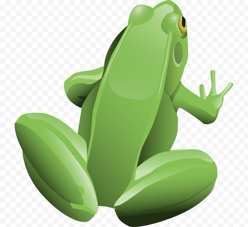 Organism - Frog Clip Art - Drawing - Tree Top View Free PNG
