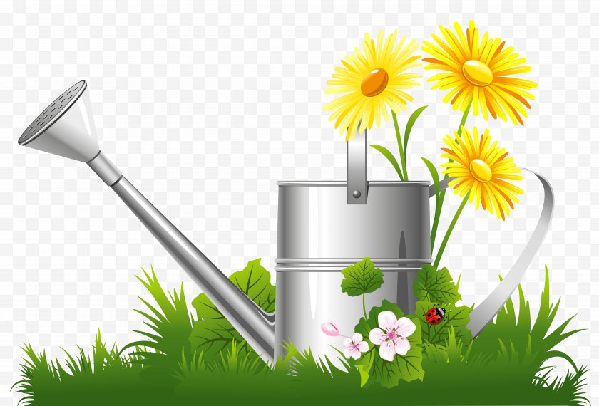 Watering Can Flower Garden Clip Art Design Spring Decoration With Water Grass And Flowers Clipart Free