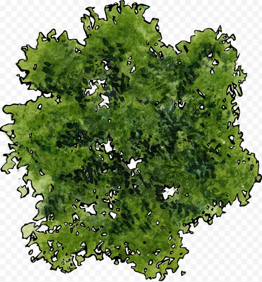 2d Computer Graphics - Tree - Vegetation - A Top View Of Green Free PNG