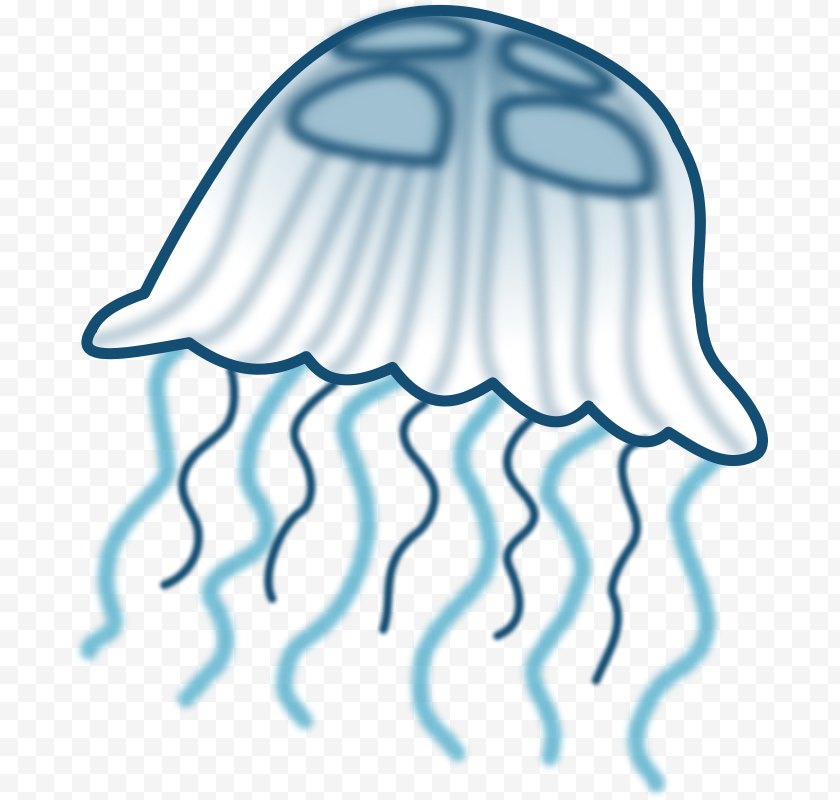 Blue Jellyfish Free Content Clip Art Black And White Seashore Clipart Free Png