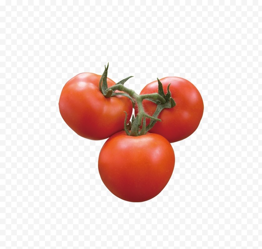 Bush Tomato - Plum Vegetable Free PNG