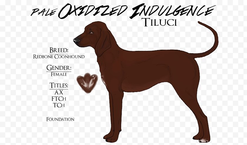 Pointer - Dog Breed German Shorthaired Dachshund - Redbone Coonhound Free PNG