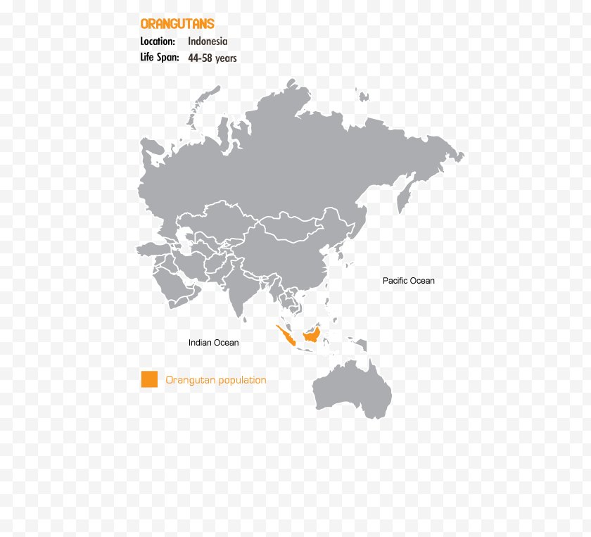 World - Country Code United States Netherlands Latin America - Diagram - Sumatran Orangutan Free PNG