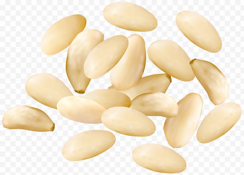 Nut - Nucule Peanut Commodity - Preview - Pine Nuts Clipart Image Free PNG