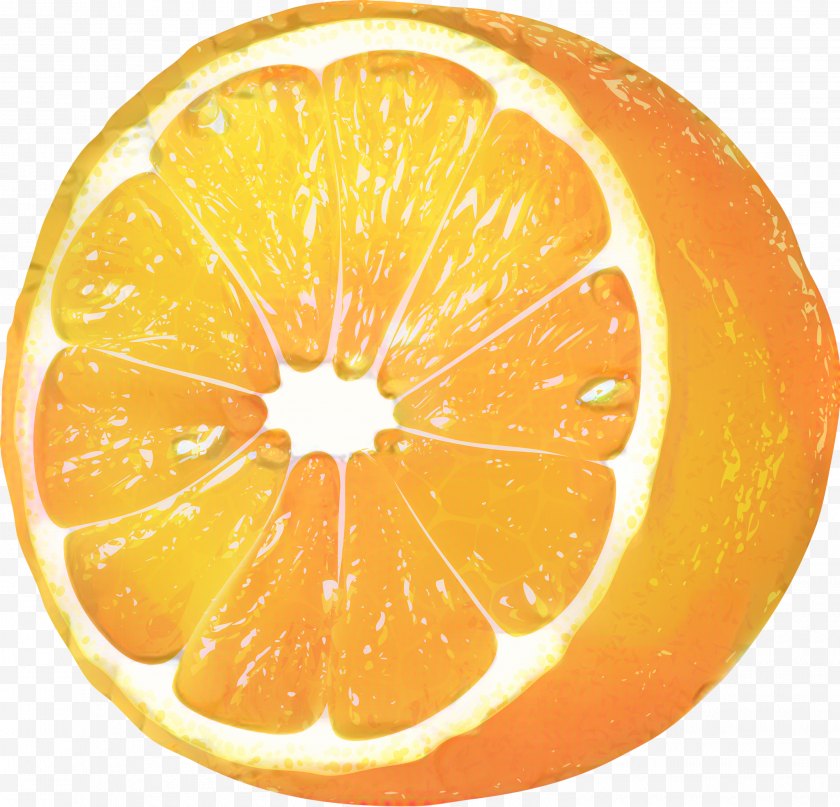 Fruit - Lemon Cartoon - Peel - Meyer Juice Free PNG