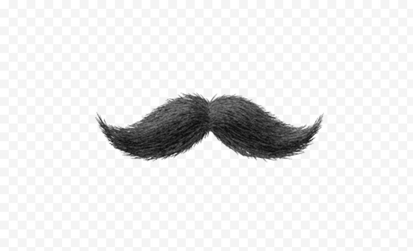 Moustache - World Beard And Championships Handlebar Black Hair - Bicycle Handlebars Free PNG