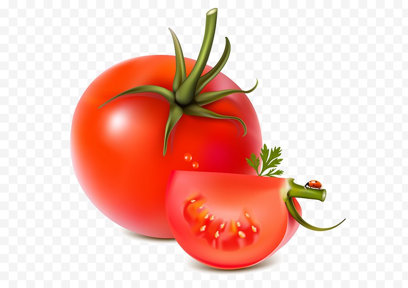 Bush Tomato - Vegetable - Fruit Free PNG