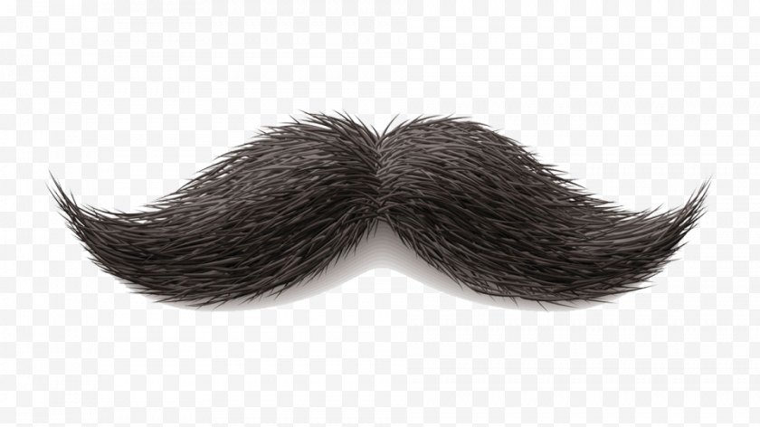 Moustache - World Beard And Championships Hair - Handlebar Free PNG