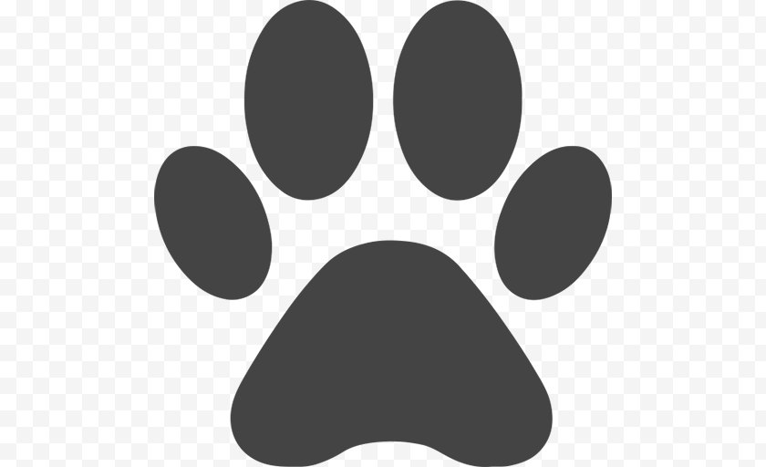 Panther - Lion Dog Cougar Paw Clip Art - Monochrome Photography Free PNG