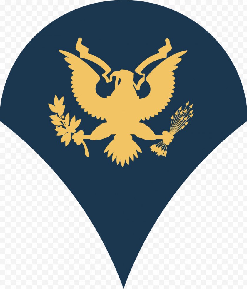 Army Officer - Specialist United States Military Rank - Membrane Winged Insect Free PNG