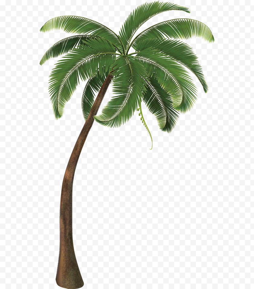 Arecales - Travel Pack Vacation Icon - Palm Branch - Coconut Tree ...