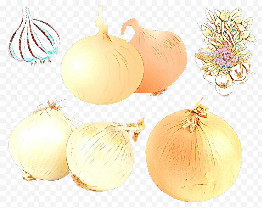 Christmas Ornament Free PNG