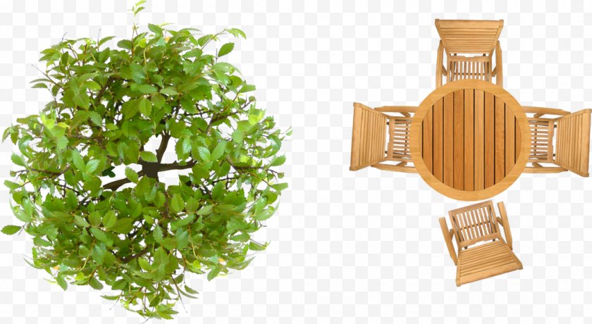 Furniture - Garden Landscape Architecture Design - Tree Top View Free PNG