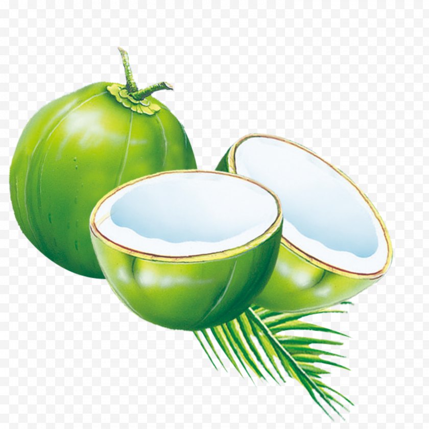 Coconut - Water Milk Powder Es Kelapa Muda - Food - Cyan Free PNG