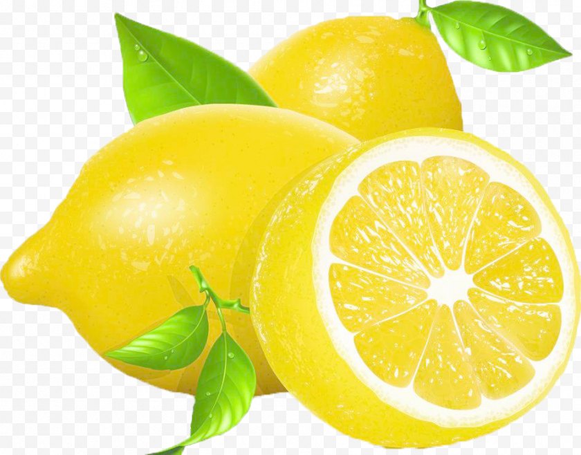 Food - Lemon Clip Art - Meyer - Fresh Free PNG