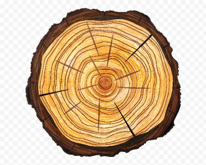 Wood - Trunk Tree Stump Cross Section Vector Graphics - Lumber - Root