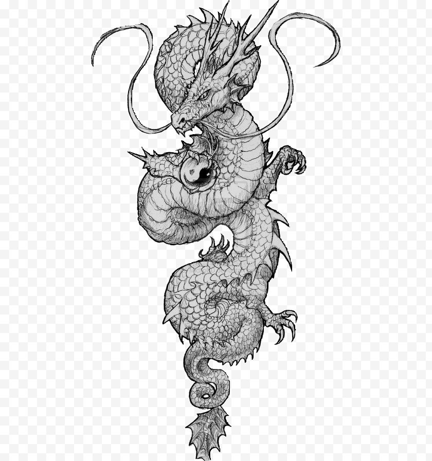 Frame - Chinese Dragon Tattoo Japanese Drawing - Cartoon Free PNG