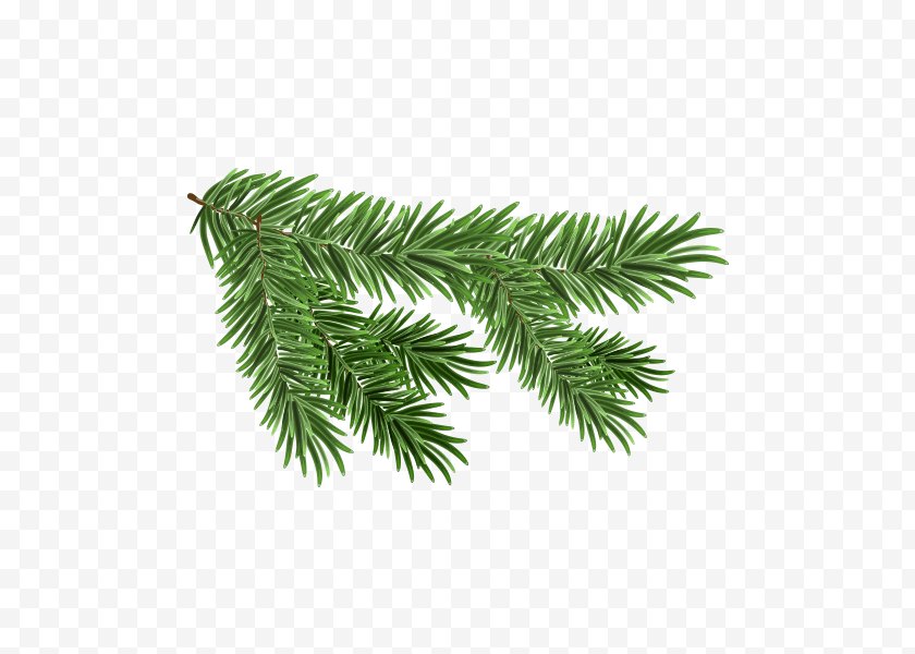 Tree - White Spruce Branch Royalty-free Clip Art - Christmas Ornament - Top View Free PNG
