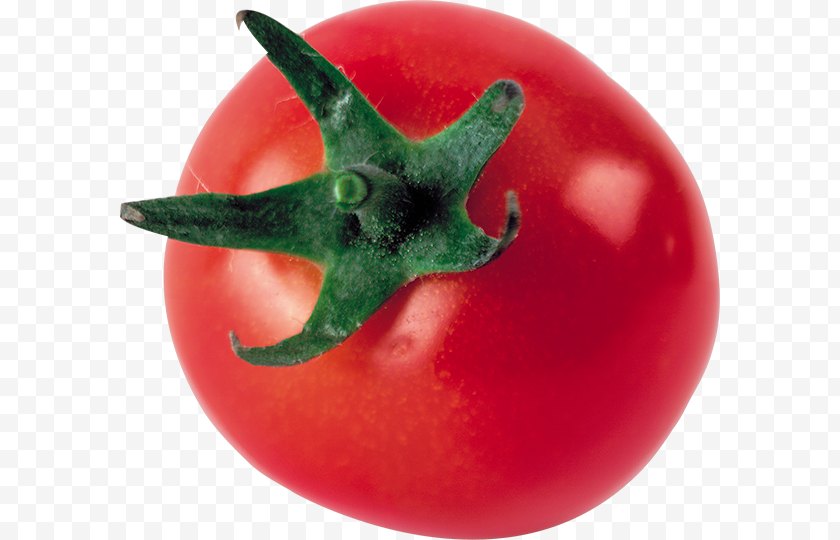 Bush Tomato - Soup Italian Pie Food Free PNG