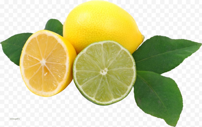 Lemon Lime - Lemonade Key - Yuzu Free PNG