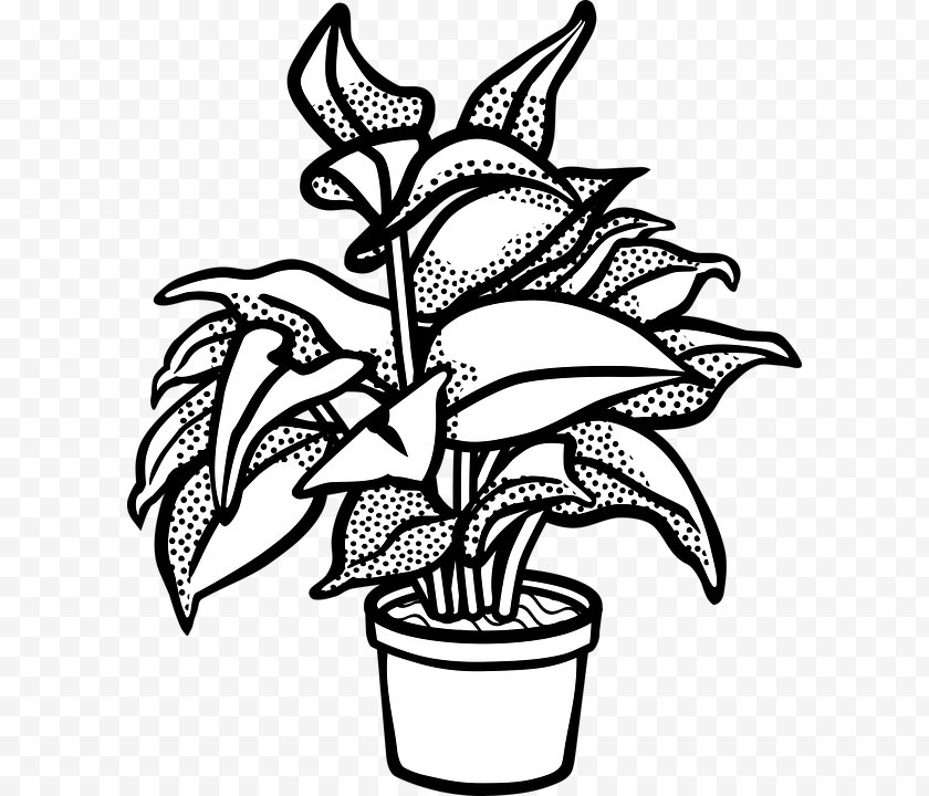 Ornamental Plant - Houseplant Flowerpot Clip Art Vector Graphics