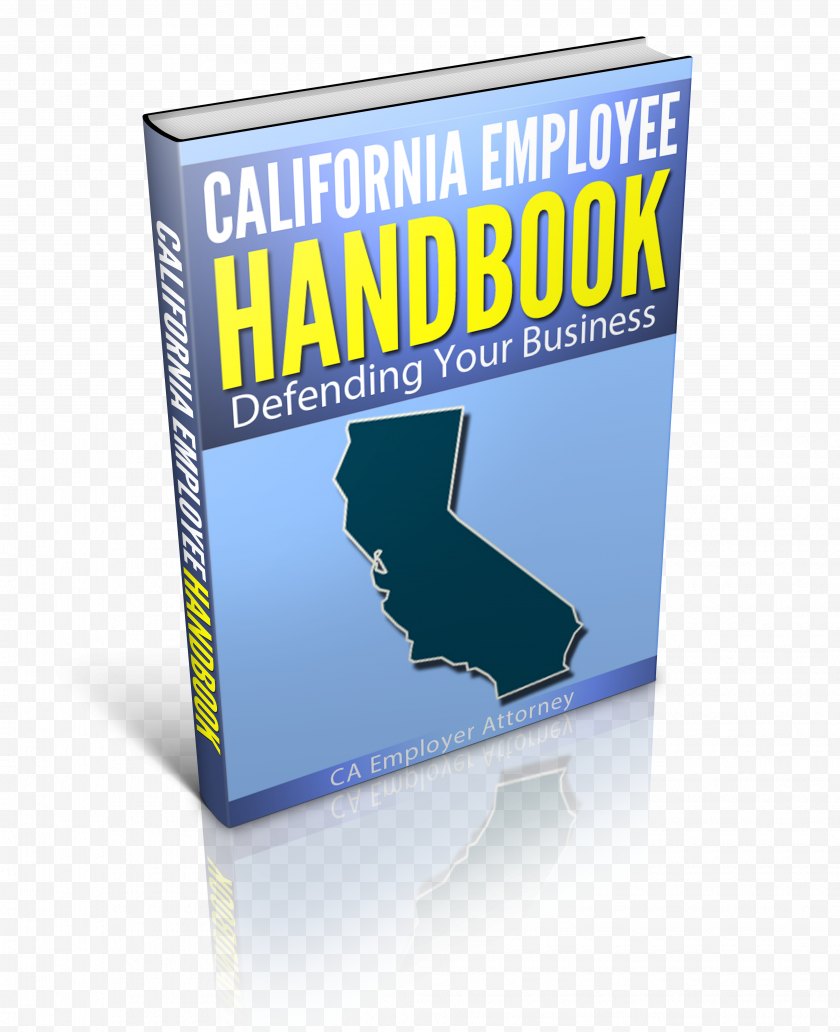 Lawyer - Employee Handbook Employer Laborer Angajat - Lawsuit - Hand Book Free PNG