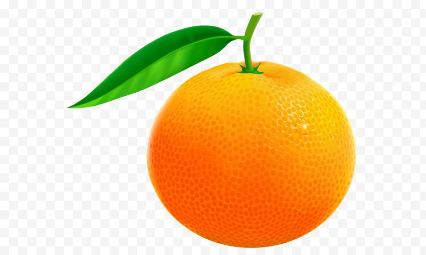 Lemon - Orange Fruit Clip Art - Peel Free PNG