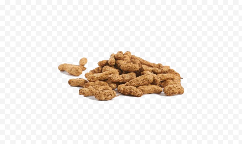 Nut - Peanut - Ingredient - Free Buckle Free PNG