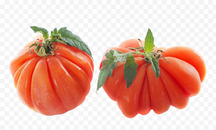 Bush Tomato - Plum Beefsteak Lentil Soup - Alamy - Steak Tomatoes Free PNG