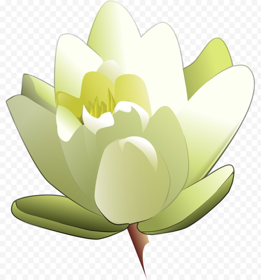 Flower - Easter Lily Tiger Clip Art - Aquatic Plant - Frog On Pad Clipart Free PNG